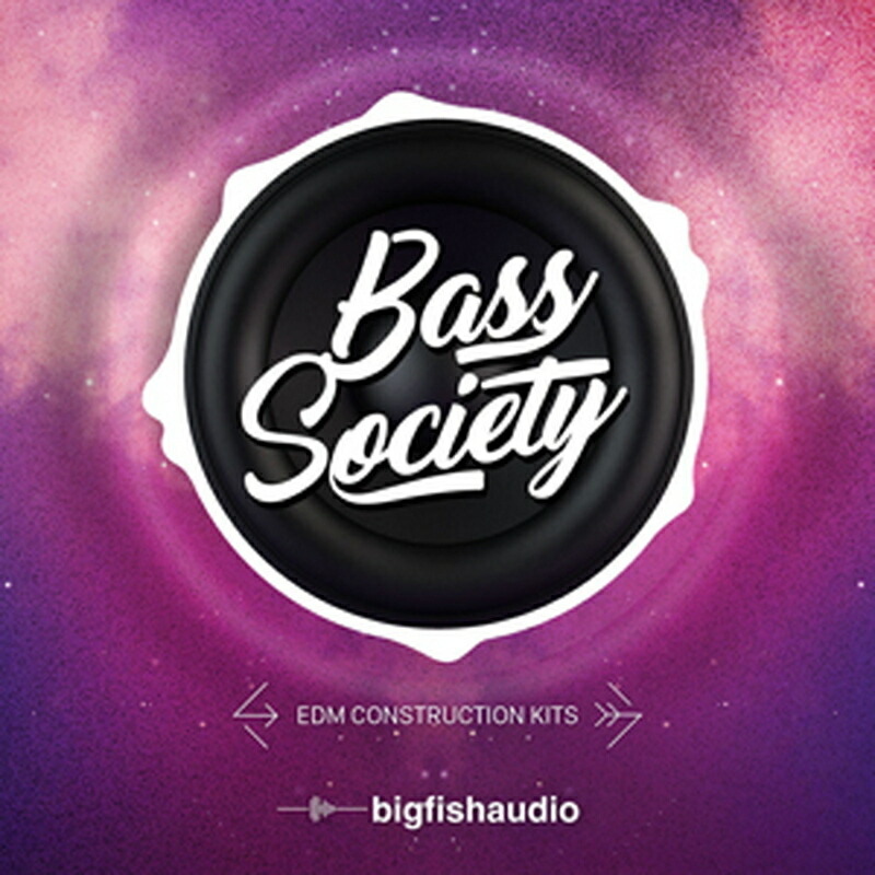 BIG FISH AUDIO BASS SOCIETY(オンライン納品)(2時間以内に納品) プラグインソフト