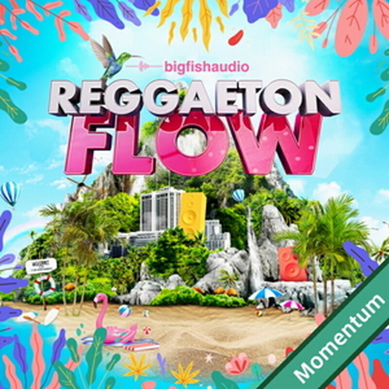 BIG FISH AUDIO REGGAETON FLOW MMT(オンライン納品)(2時間以内に納品) プラグインソフト