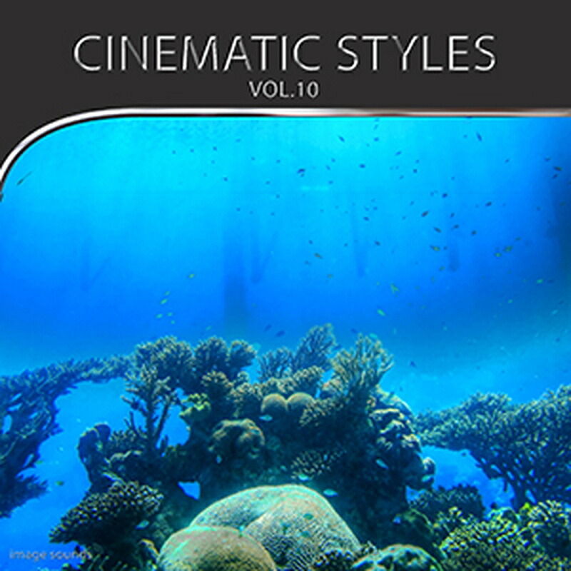 IMAGE SOUNDS CINEMATIC STYLES 10(オンライン納品)(2時間以内に納品) プラグインソフト
