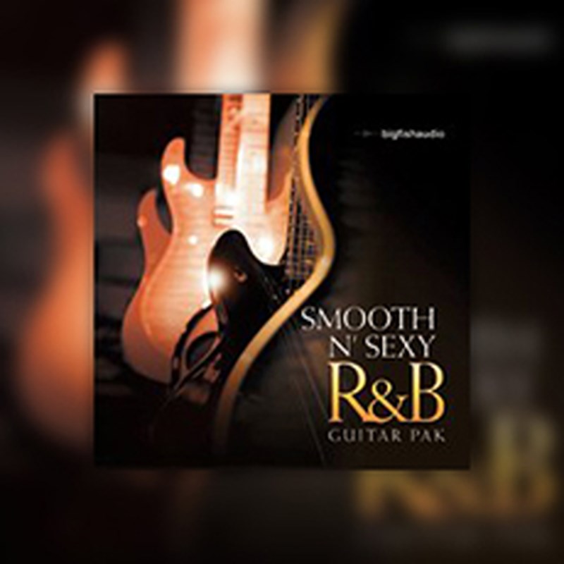 BIG FISH AUDIO SMOOTH N' SEXY R&B GUITAR PAK(オンライン納品)(2時間以内に納品) プラグインソフト