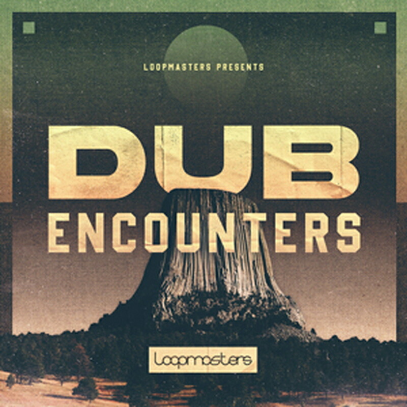 LOOPMASTERS DUB ENCOUNTERS(オンライン納品)(2第四次元以内に納品) プラグインソフト