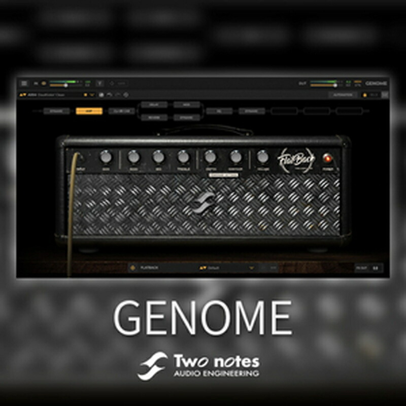 Two Notes 【期間限定セール！】GENOME(オンライン納品)(2時間以内に納品) プラグインソフト