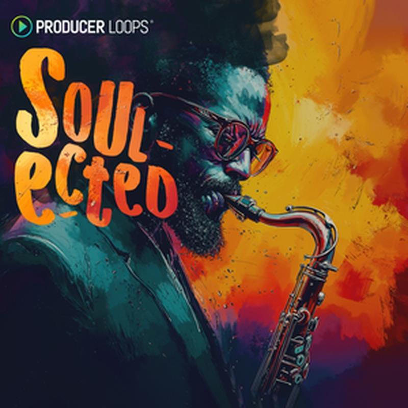 PRODUCER LOOPS Soulected (クラシックハウス)(サンプルパック)(オンライン納品)(2時間以内に納品) プラグインソフト