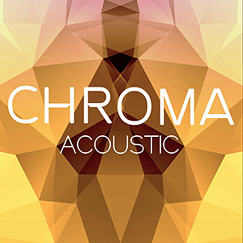 IN SESSION AUDIO CHROMA - ACOUSTIC(オンライン納品)(2時間以内に納品) プラグインソフト