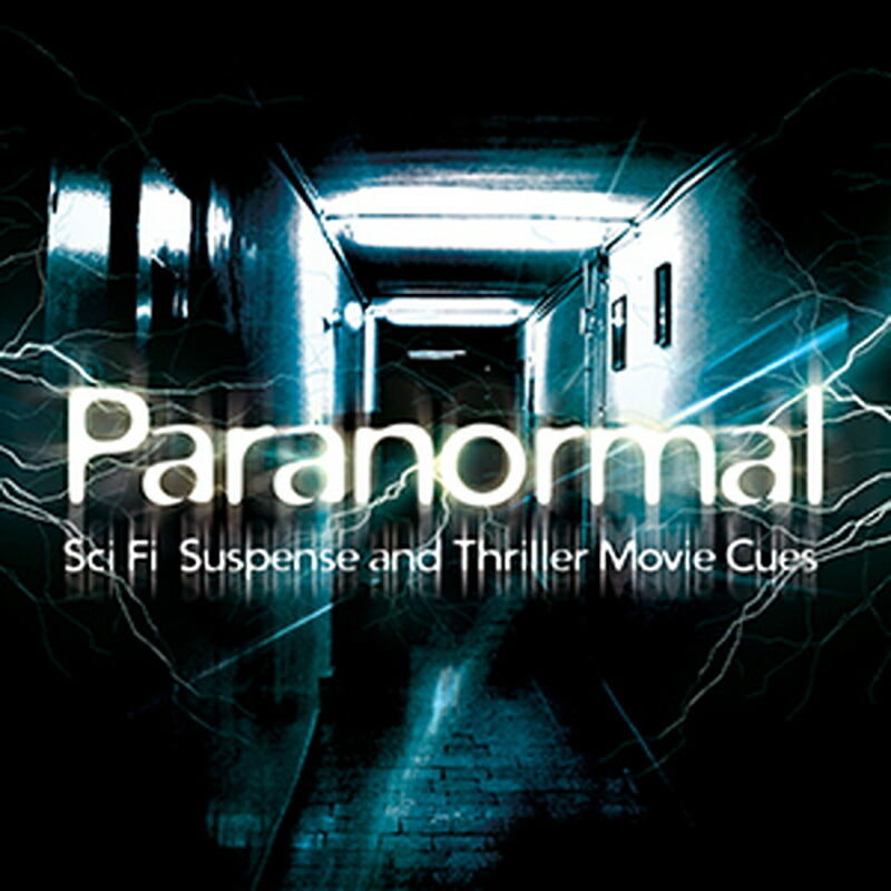BIG FISH AUDIO PARANORMAL(オンライン納品)(2時間以内に納品) プラグインソフト