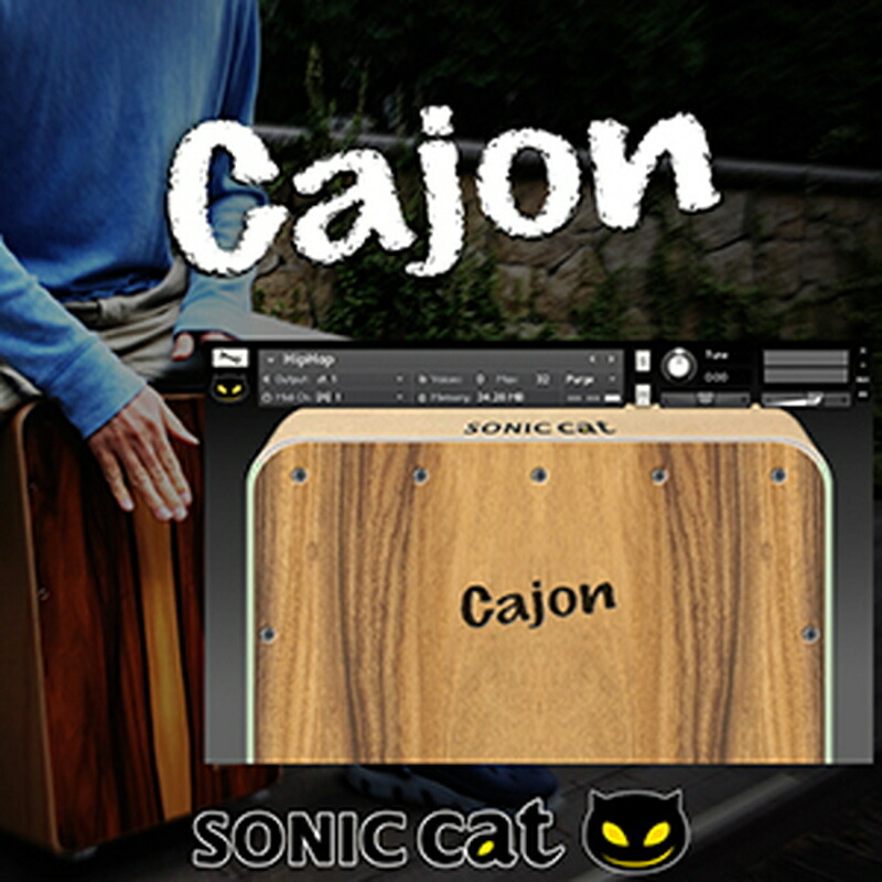 SONIC CAT CAJON(オンライン納品)(2時間以内に納品) プラグインソフト