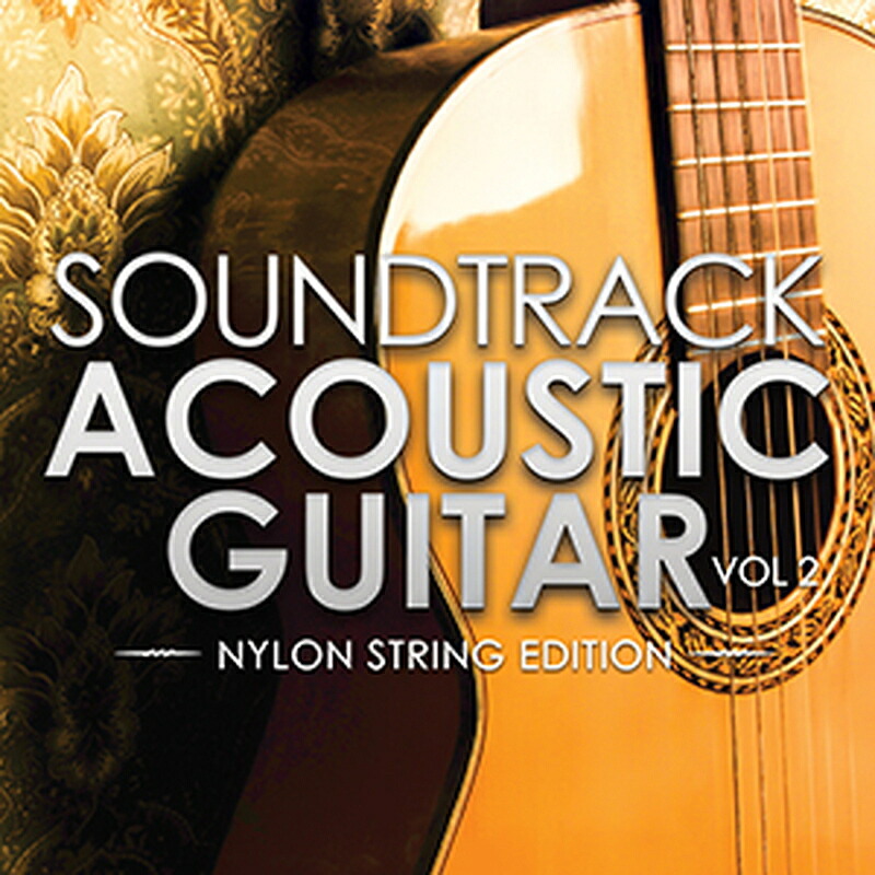 IN SESSION AUDIO SOUNDTRACK ACOUSTIC GUITAR VOL.2(オンライン納品)(2時間以内に納品) プラグインソフト