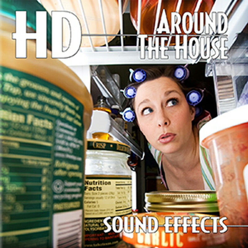 SOUND IDEAS HD AROUND THE HOUSE(オンライン納品)(2時間以内に納品) プラグインソフト