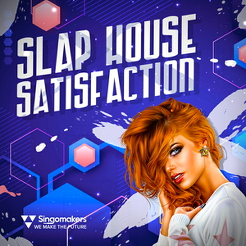 SINGOMAKERS SLAP HOUSE SATISFACTION(オンライン納品)(2時間以内に納品) プラグインソフト