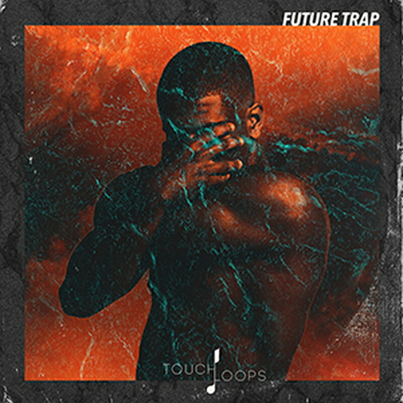 TOUCH LOOPS FUTURE TRAP(オンライン納品)(2時間以内に納品) プラグインソフト