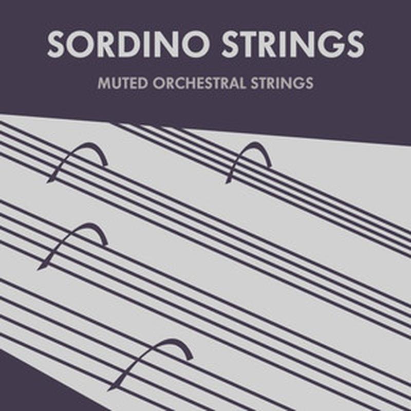 Sonokinetic Sordino Strings (オーケストラ)(Kontaktライブラリ)(ストリングス)(オンライン納品)(2時間以内に納品) ソフトウェア音源