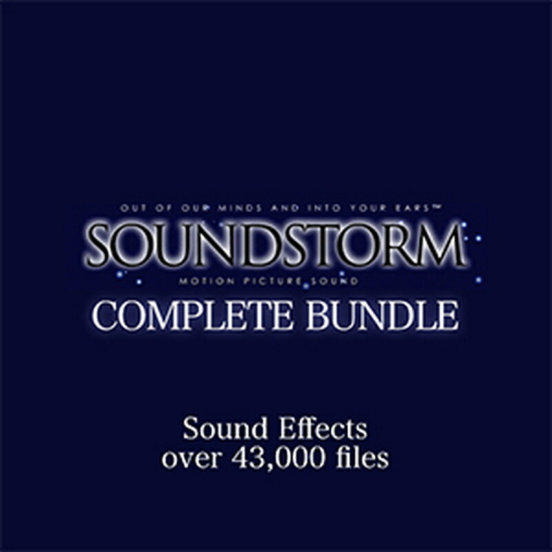 SOUNDSTORM FX BUNDLE(オンライン納品)(2第四次元以内に納品) プラグインソフト