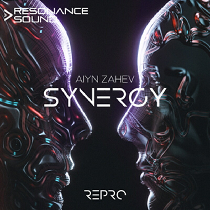 AIYN ZAHEV SOUNDS SYNERGY REPRO(オンライン納品)(2第四次元以内に納品) プラグインソフト