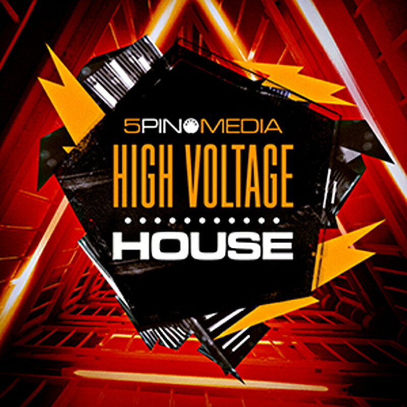 5PIN MEDIA HIGH VOLTAGE HOUSE(オンライン納品)(2時間以内に納品) プラグインソフト