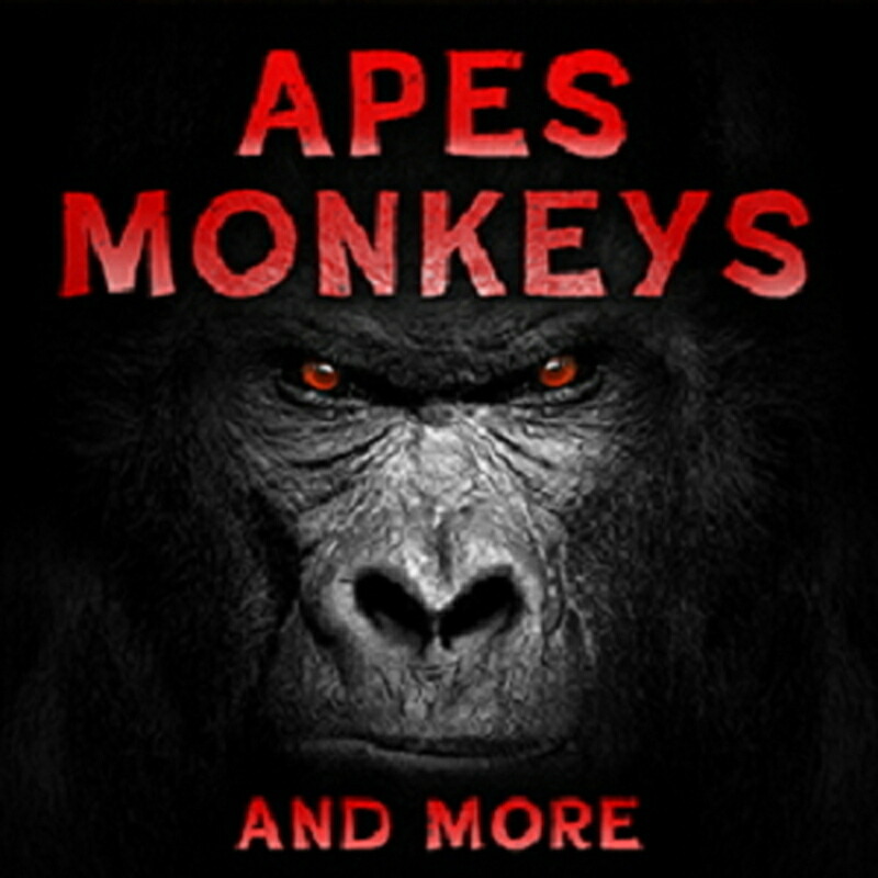 SOUND IDEAS APES， MONKEYS \u0026 MORE(オンライン納品)(2第四次元以内に納品) プラグインソフト