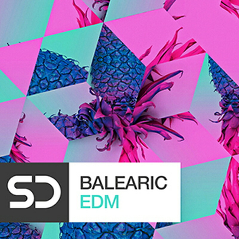 SAMPLE DIGGERS BALEARIC EDM(オンライン納品)(2時間以内に納品) プラグインソフト