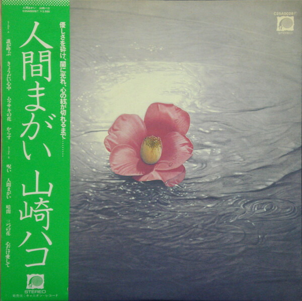 楽天市場】【中古】アナログボックス [12 inch Analog] 山崎