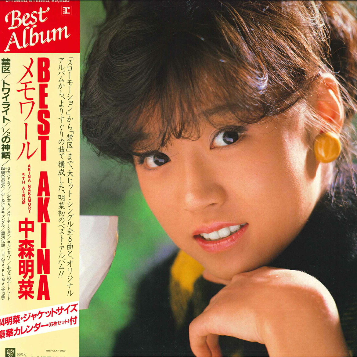 中森明菜　12インチLPレコード13枚セット 中森明菜 12インチLPレコード13枚セット