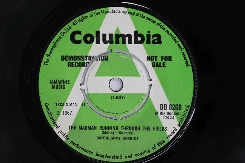 【中古】7&rdquo; Dantalians Chariot The Madman Running Through The Fields / Sun Came Bu DB8260PROMO COLUMBIA プロモ /00080｜レコードシティ 店