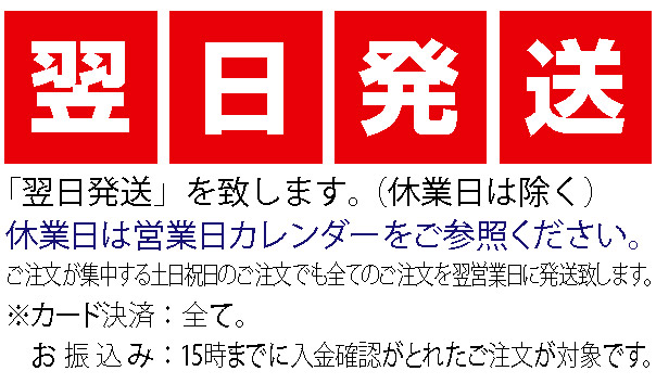 翌日発送 リサイクル 1年保証 翌日発送 リサイクルマート ショーケース 食器洗浄機 送料無料 オーブン 製氷機 新品 ホシザキ ガステーブル レマコム 業務用オーブン 冷凍庫 業務用 ベーカリー 冷凍ストッカー 業務用 冷凍庫 冷凍庫 375l 急速冷凍機能付 Rrs 375