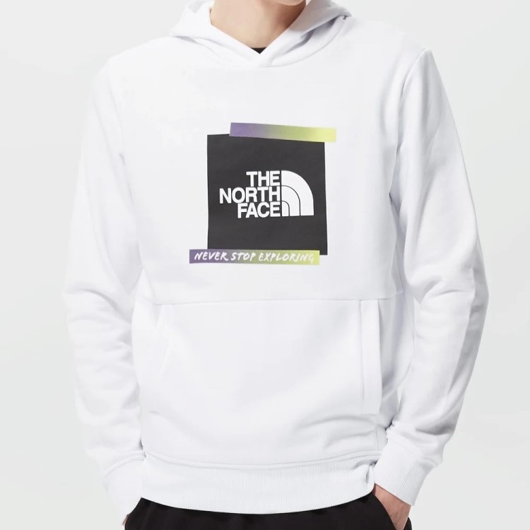 楽天市場】THE NORTH FACE ザ・ノースフェイス パーカー メンズ プル