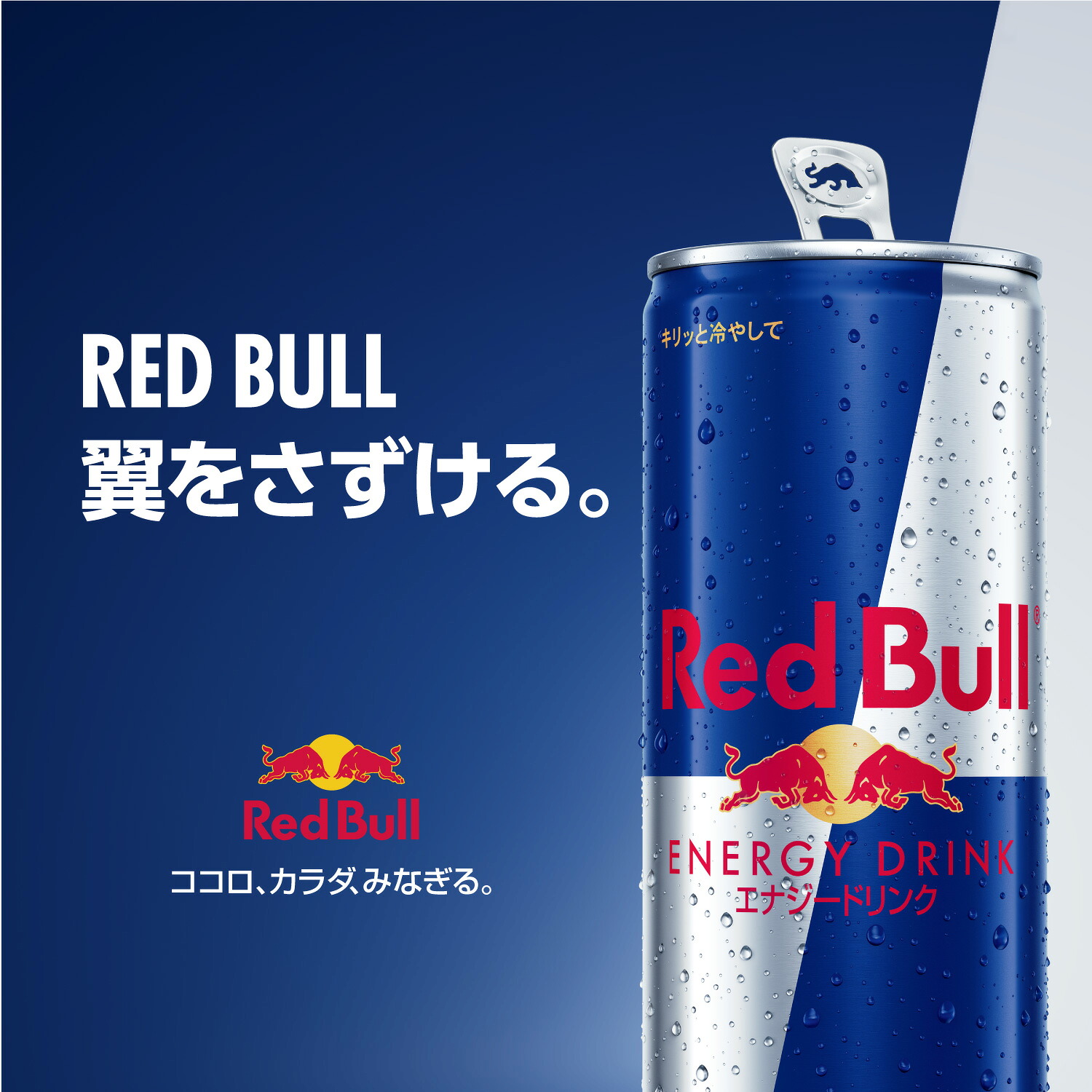 公式】 レッドブル エナジードリンク 250ml×24本(24本×1ケース) 送料