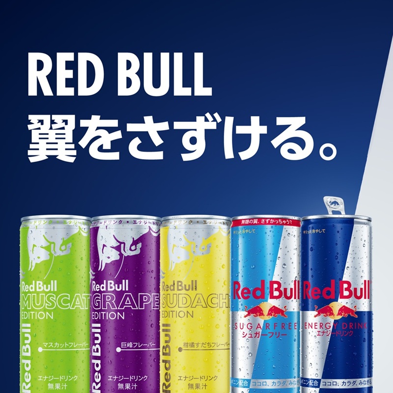 25％OFF 6/11 09:59 まで／【公式】 レッドブル エナジードリンク