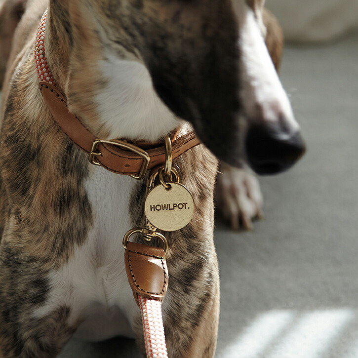 Howlpot We Are Tight 犬用リード 首輪 ペット用品 小型犬 中型犬 リード犬 犬用 クライミングロープ おしゃれ ドッグ かわいい 送料無料 Mavipconstrutora Com Br