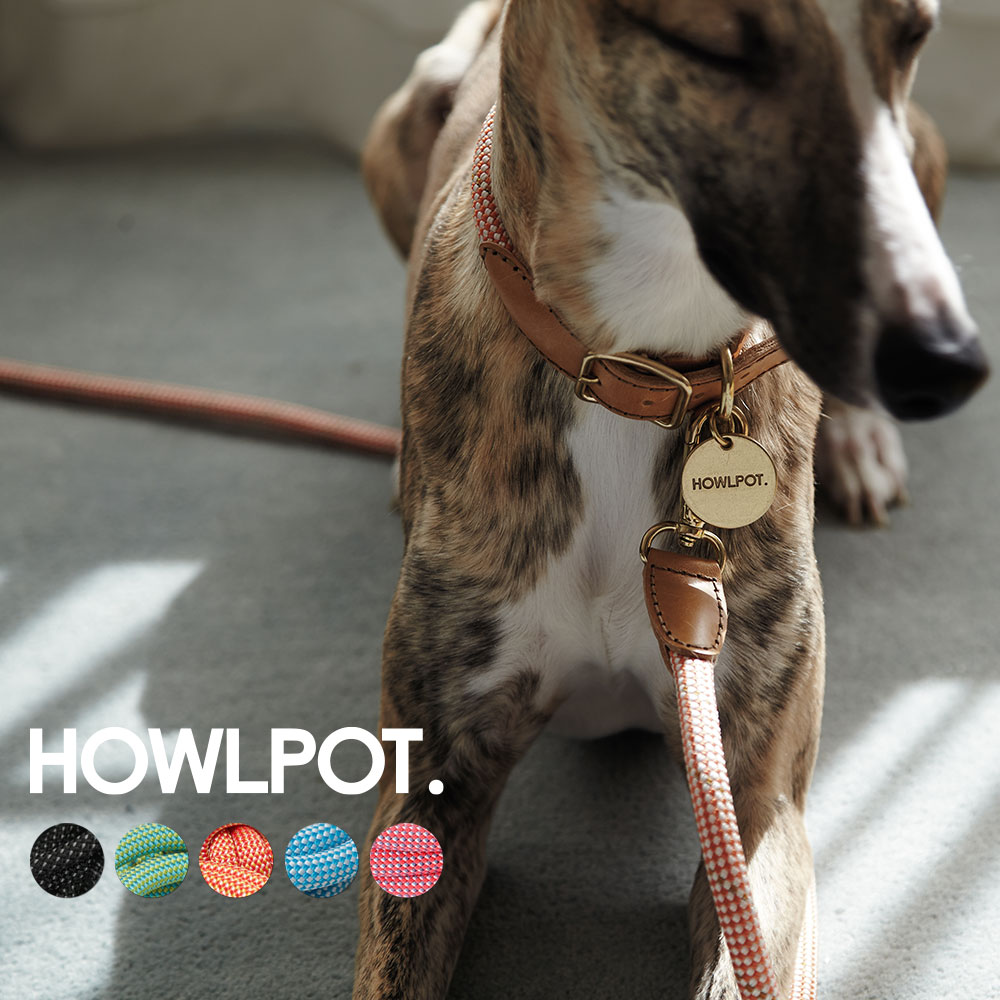 楽天市場 Howlpot We Are Tight 犬用首輪 ペット用品 小型犬 中型犬 リード犬 犬用 クライミングロープ おしゃれ ドッグ かわいい 送料無料 Red Cabin