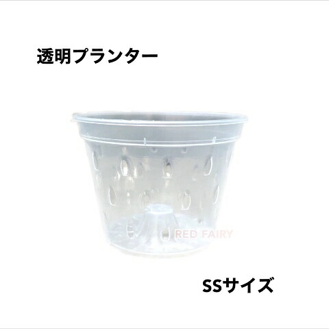 鉢 澄み切った プランター SS大いさ #110 2個 5個 10個 50個 100個 園芸 観葉草木 熱帯草木 ガーデニング 寄せ植え モンステラ 花 草木 発根 見ること 総やか申しつける能力のある