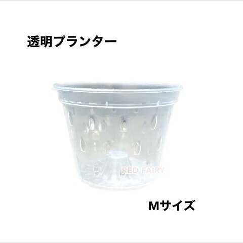 鉢 澄み切った プランター Ｍ大いさ #140 1個 5個 10個 50個 100個 園芸 観葉草木 熱帯草木 ガーデニング 寄せ植え モンステラ 花 草木 発根 見ること 総やか申しつける能力のある 植木鉢-花・ガーデン・DIY