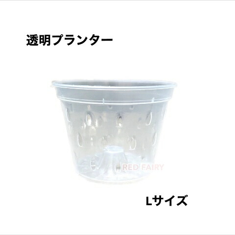 植木鉢 透明 プランター　Ｌサイズ　#150　1個　5個　10個　50個　100個　園芸　観葉植物　熱帯植物　ガーデニング　寄せ植え　モンステラ　花　植物　発根　観察　大量注文可能
