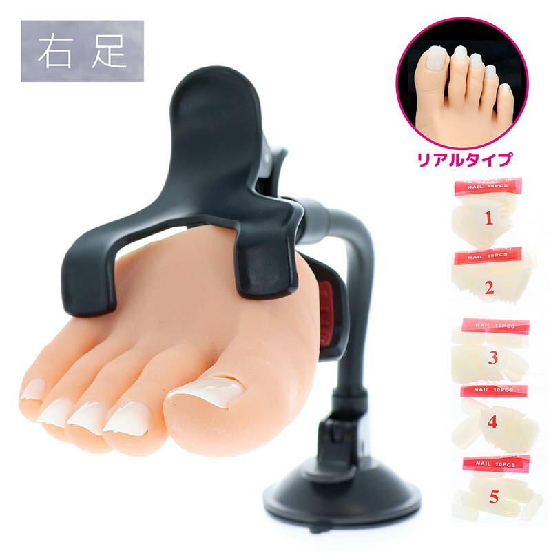 検定用品 練習用品 ビューティーネイラー BEAUTY NAILER プラクティス ハーフフット　リアル右足 (PFR-1) ネイル関係雑貨 びゅーてぃーねいらー 練習用