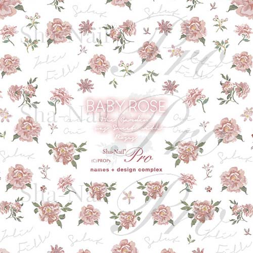 楽天市場 写ネイル Sha Nail Baby Rose ベビーローズ メール便 ネコポス 対応 フラワー ネイルシール 花 C Dネイリスト情報 コスメ ドラッグny コスメ ドラッグｎｙ