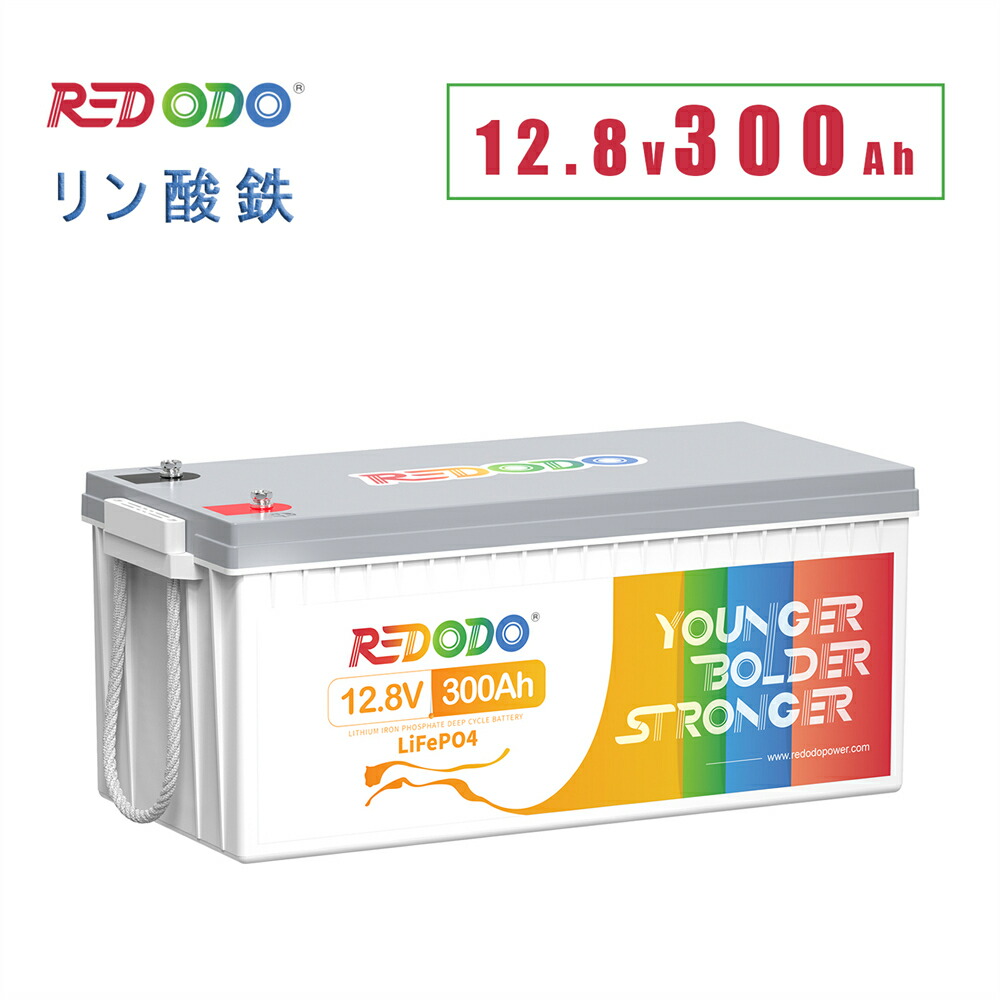 サブバッテリー 200Ah（115Ah2台）★接続のみで未使用★ サブバッテリー 200Ah（115Ah2台）☆接続のみで未使用☆