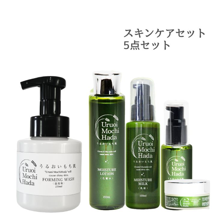 15日迄＼45%OFFクーポン有！／ 化粧水 ＆ 乳液 ＆ 美容液 ＆ クリーム ＆ 泡洗顔 5点 うるおいもち肌 化粧水 150ml 乳液 100ml 美容液 50ml 美容クリーム 30g 泡洗顔 250ml 保湿 基礎化粧品 発酵 スキンケア スキンケアセット 30代 40代 50代 60代