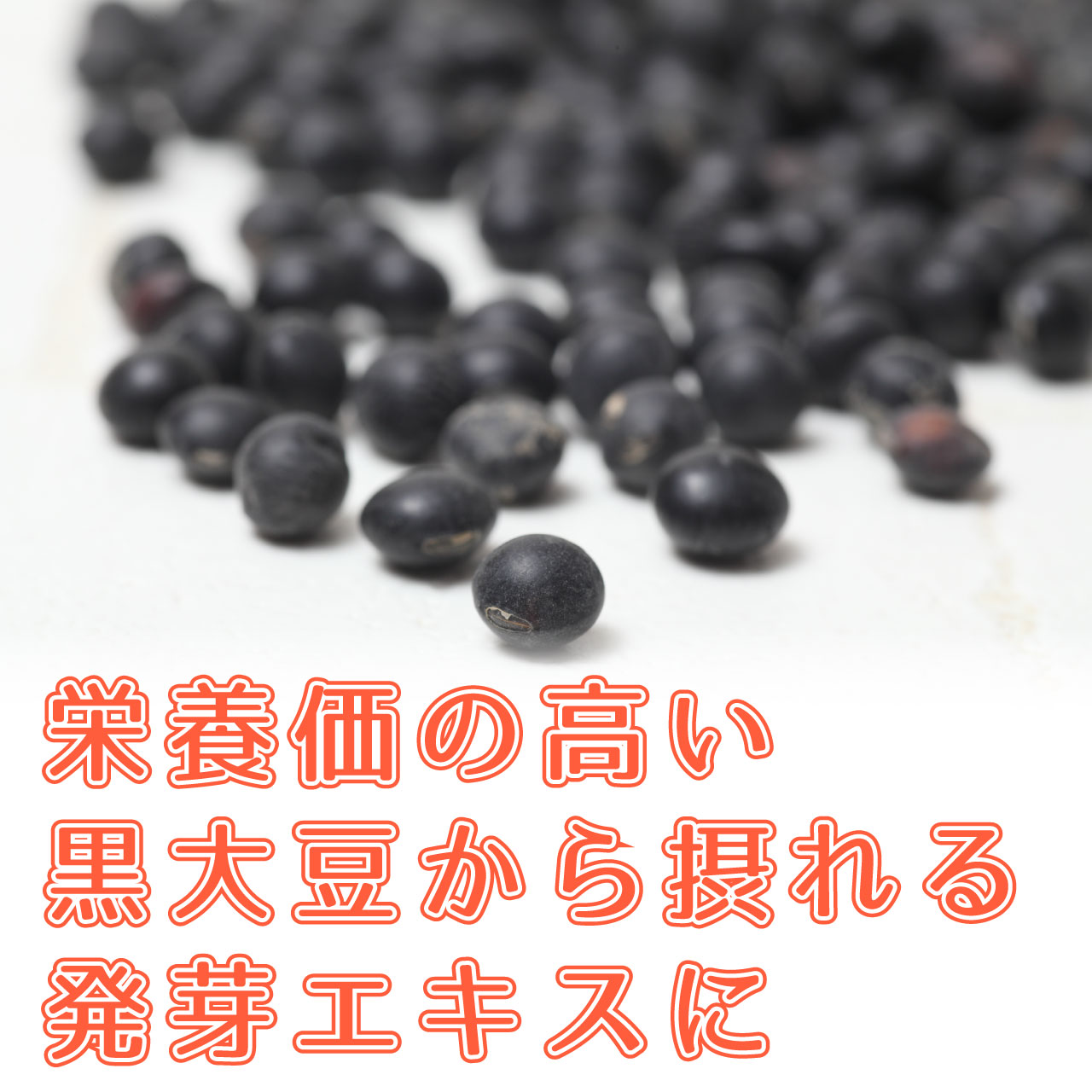 ソイプラス寿元ビスケット 1袋3枚 約40g 6袋 30箱セット ソイプラス お菓子 おかし 寒天 おから ひじき 昆布 白ゴマ 黒大豆 黒大豆抽出エキス ダイエット 置き換えダイエット 食物繊維 美容 栄養 健康 赤ちゃん 歯固め ビスケット 非常食 国産 おいしい 美味しい お得