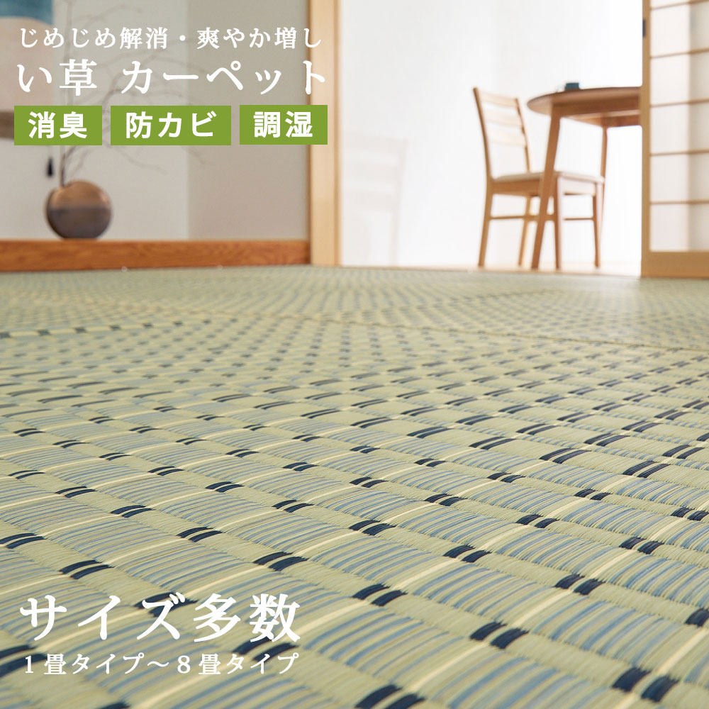 い草 引っ敷き ござ 畳 井草 上敷き 敷きつめ 畳 フローリング 保護すること 押しかぶせる 日本の首都間 本間 まっ四角 矩形 茣蓙 ゴザ 生まれながら 気取らない 夏 雨季 イ草 口さかしい 自然的 和今めかしい 和室