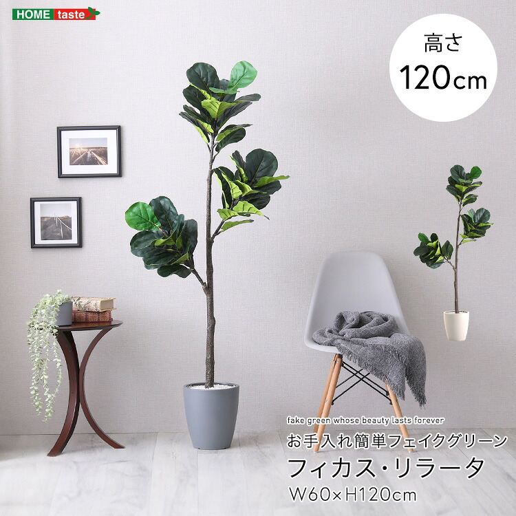 フェイク グリーン 観葉植物 フィカス・リラータ Sサイズ(120cm) リアル グリーン green お手入れ簡単 鉢付き プランター付き おしゃれ かわいい|Reech Online