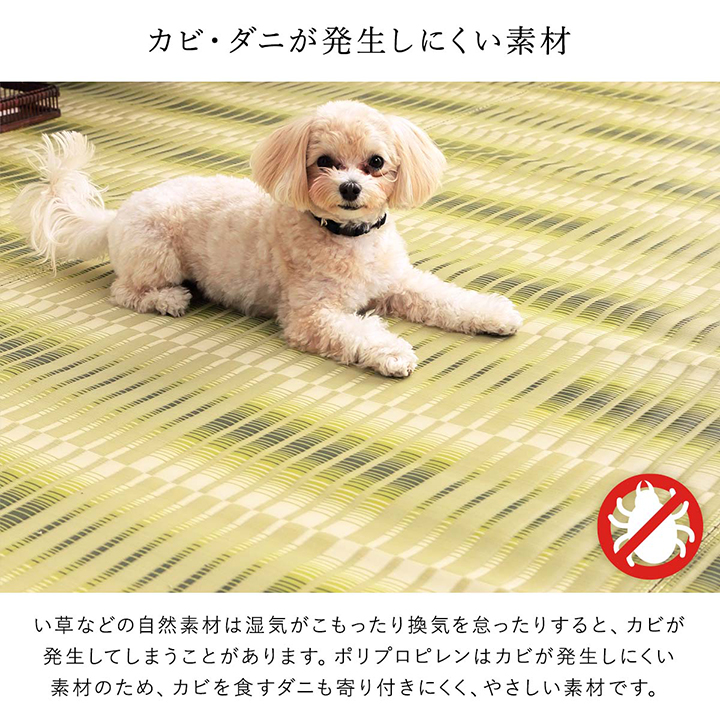 大幅値下げランキング 水洗いできる ペット カーペット 犬用 猫用 イヌ ネコ シート マット 丸洗い 敷き詰め ラグ 本間 10畳 477 5cm 3cm 長方形 万能 Pp 傷防止 汚れ防止 掃除楽 水洗い可能 ダニ アトピー アレルギー 防止 おしゃれ 国産 日本製 子ども レジャーシート