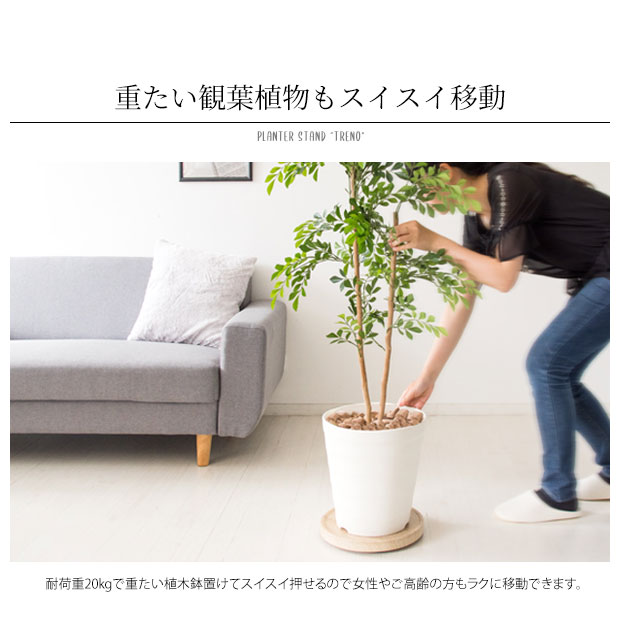 楽天市場 プランター スタンド 鉢 ラック グリーン Green 緑 観葉植物 隠しキャスター 移動 掃除 楽 棚 室内 木 シンプル アイアン おしゃれ ディスプレイ オフィス リビング １人暮らし ワンルーム リビング 玄関 Reech Online