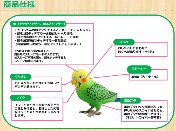 楽天市場 お得なクーポン配布中 タカラトミー 毎日おしゃべり 天才インコちゃん 面白いインコ おもちゃ お喋り 鳥 オモチャ 音声認識人形 シニア デジレクト Rica