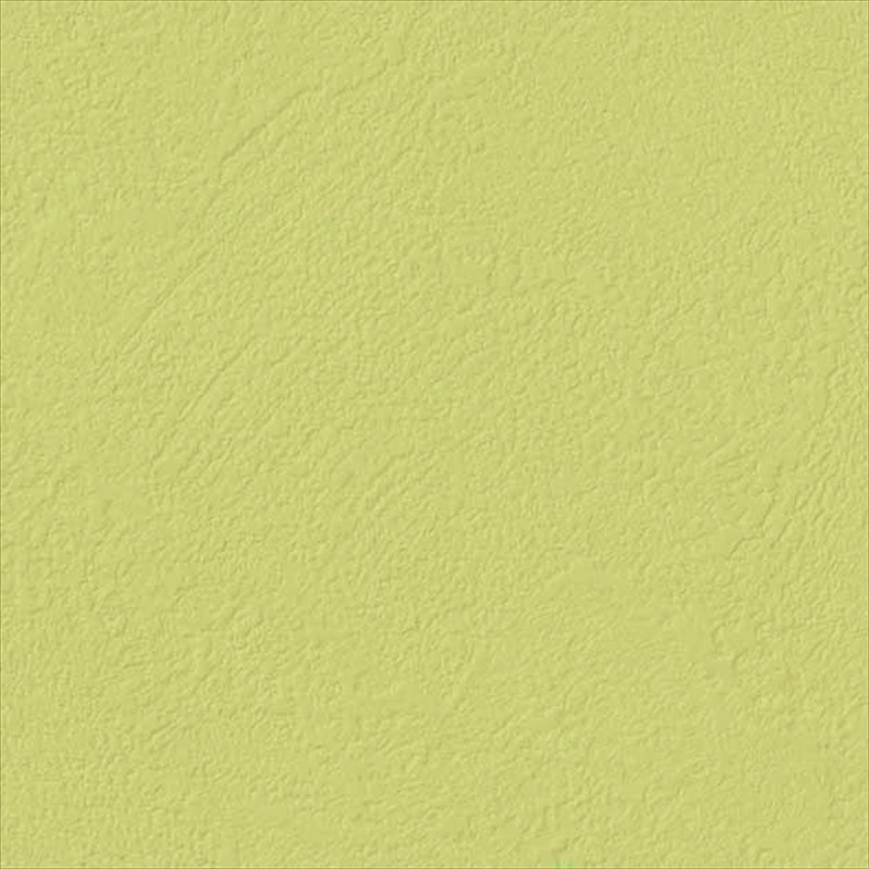 楽天市場】壁紙 クロス のりなし サンゲツ FE76521 FINE ファイン 2023