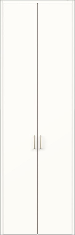ラフィス 収納家具 両車のドア / ノンケーシング枠 図案化：RAA 0723 / 08M23 H：2,306粍 LIXIL リクシル TOSTEM トステム 花・ガーデン・DIY-ドア-木材・建築資材・設備