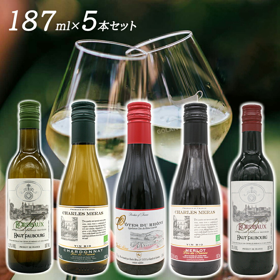 ミニボトル6本セットジャンク品 Amazon.co.jp: Zerodekoミニシャンパンボトル20個、プラスチック
