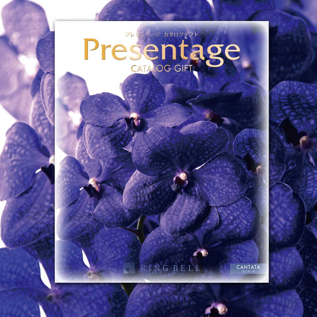 即納最大半額 母の日 ギフト カタログギフト Presentage プレゼンテージ カンタータ ギフト お返し 内祝い 香典返し 結婚祝い 引出物 グルメ 出産祝い 新築祝い 各種お祝いなど ギフト プレゼント カタログギフト 現金特価 Www Faan Gov Ng