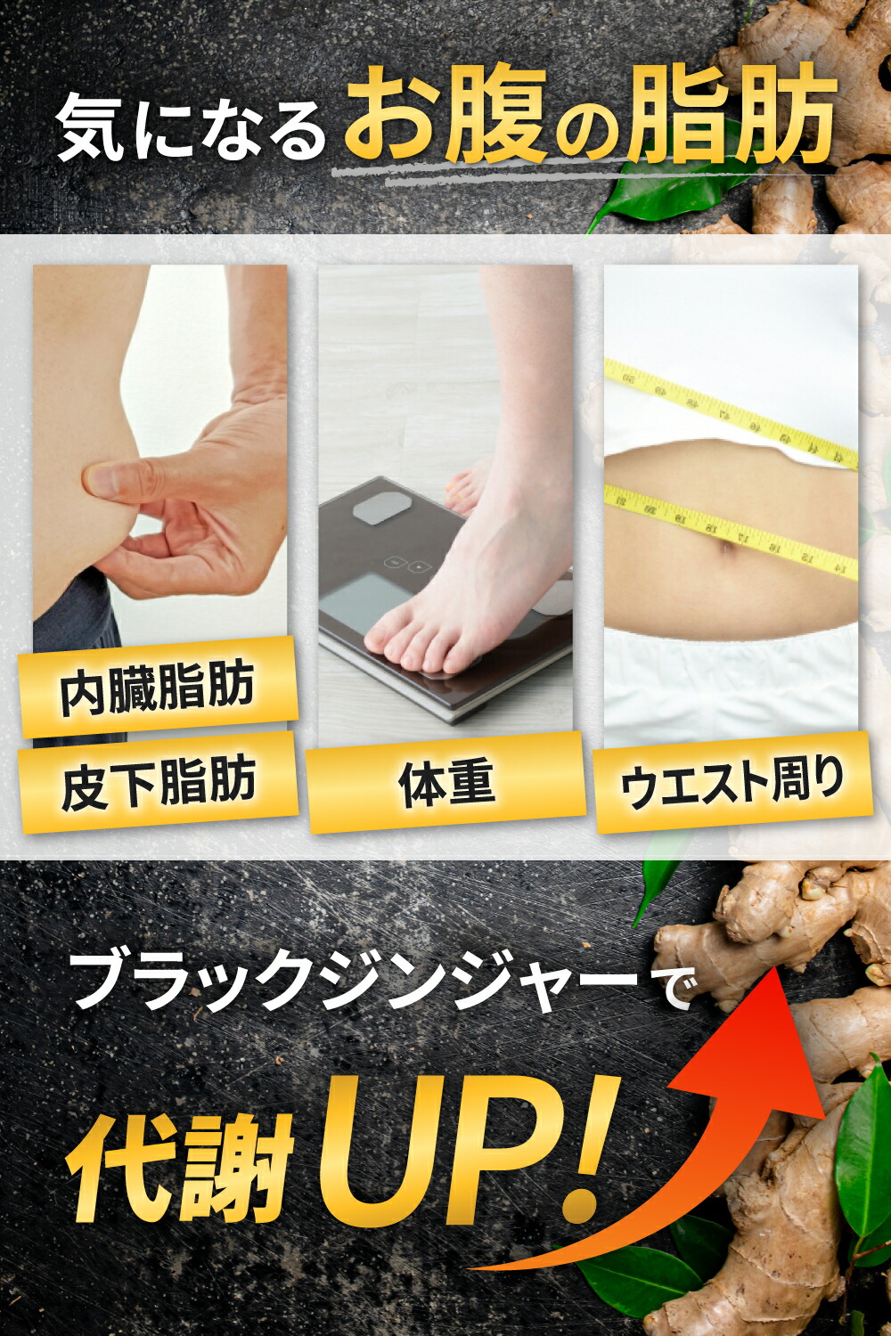 内臓脂肪皮下脂肪体重ウエスト周りBMI