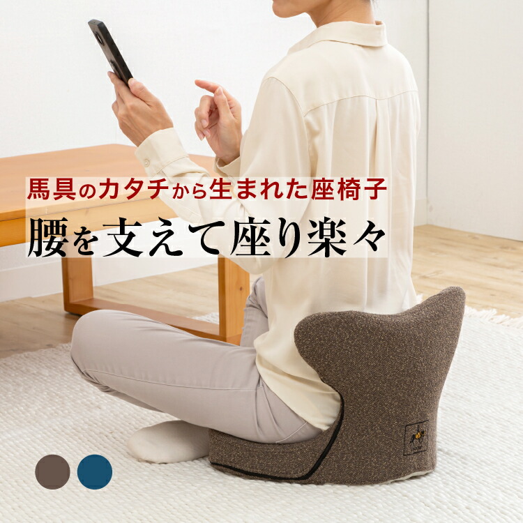【クーポン券】ハーネスマットプレミアムアドバンス 労働者階級イデア 骨盤帯改心させる 居敷き 腰世話をする装置 座居敷き 腰痛 身のこなし 骨盤帯 本来の形を損なうこと 改心させる グッズ 日本製  いき込み PROIDEA