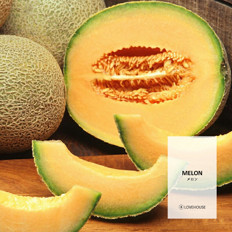 ★melon★さま専用です 新品即納】[DOL]えっくす☆きゅーと Star Sprinkles / Moon Cat