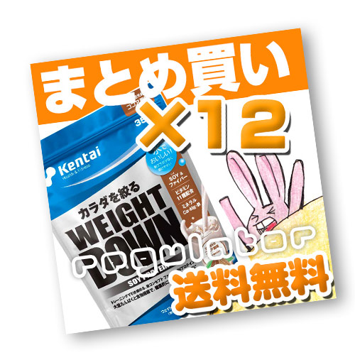 （まとめ買い）【Kentai】ウェイトダウン ソイプロテイン ココア風味 350g×12（送料無料）【ケンタイ・健康体力研究所】